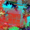 pop-art-im-netz